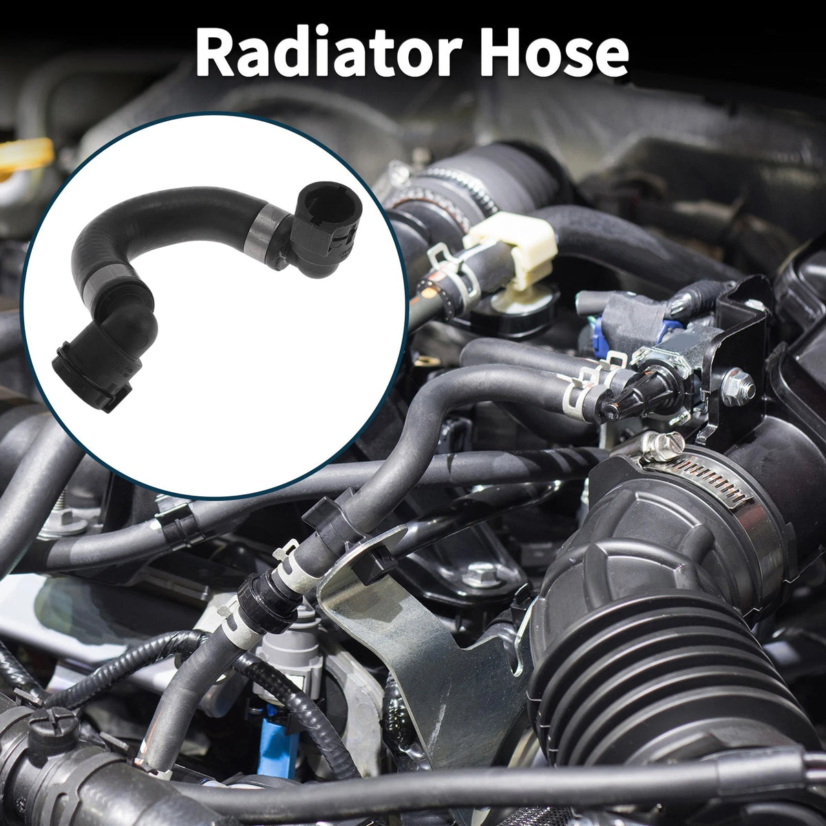 Radiator Hose Replacement for BMW F01 750Li xDrive (2009–2015)