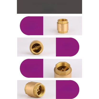 Vertical Check Valve DN20 for Water Pipes (4 Inch NPT Thread)