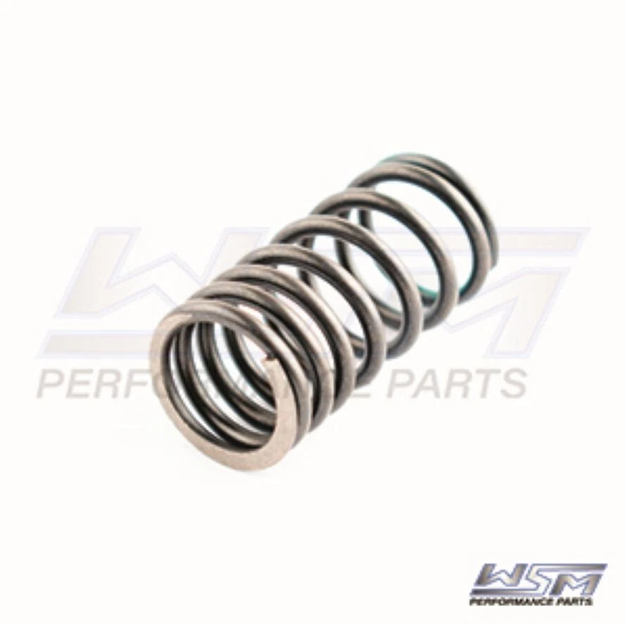 WSM Valve Spring for Yamaha 75-115 HP 4-Stroke (2010–2021) - 120-300