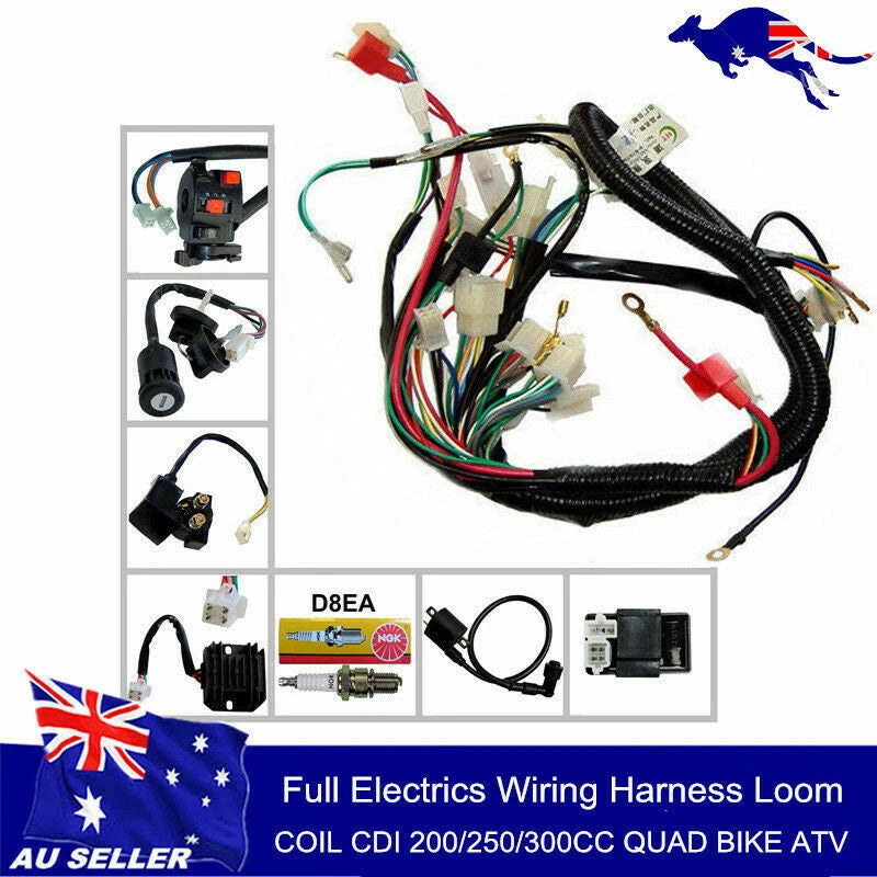 Full Set Electric Wiring Harness for ATV QUAD 150/200/250C (CDI)