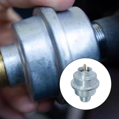 Fuel Filter for Buddy Heaters (F273699)