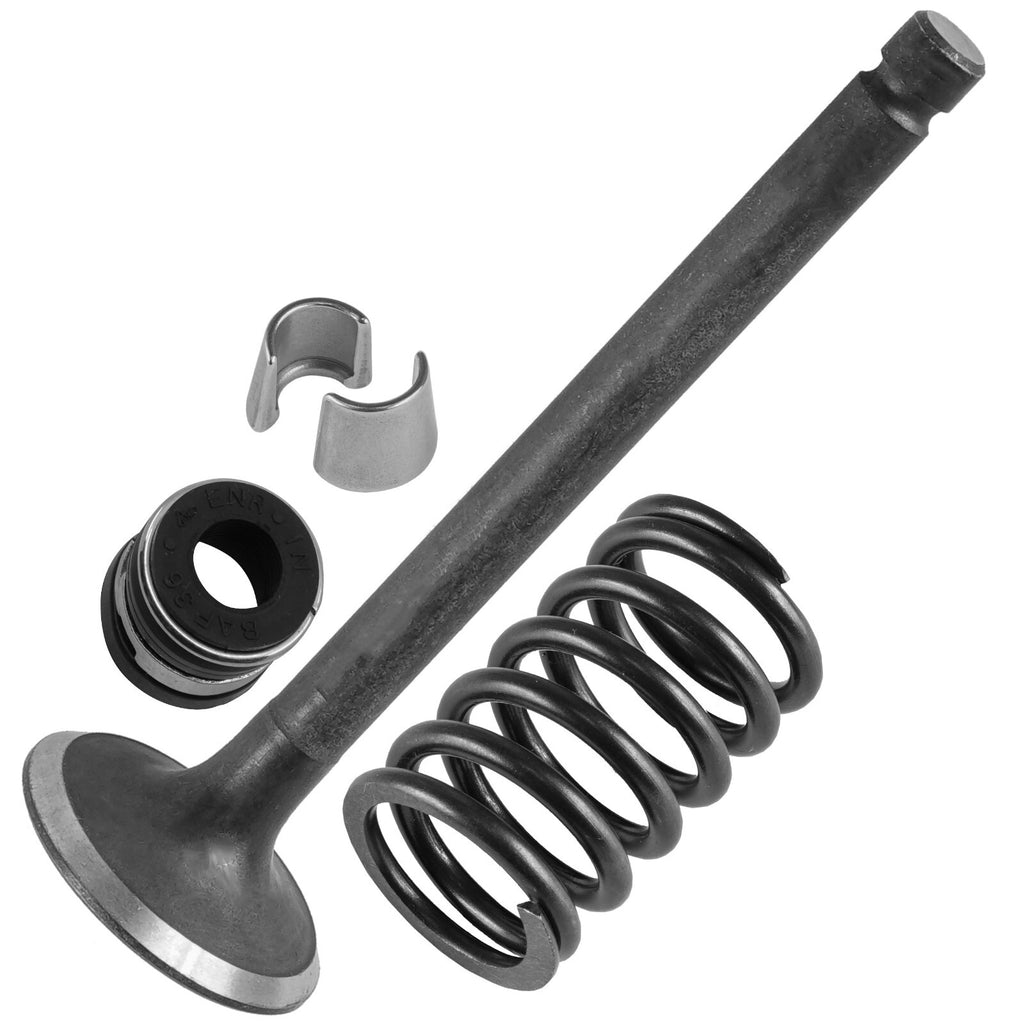 Exhaust Valve Kit Replacement for MTD 55AF3B7J195 MMZ-2554 (2011–2011)