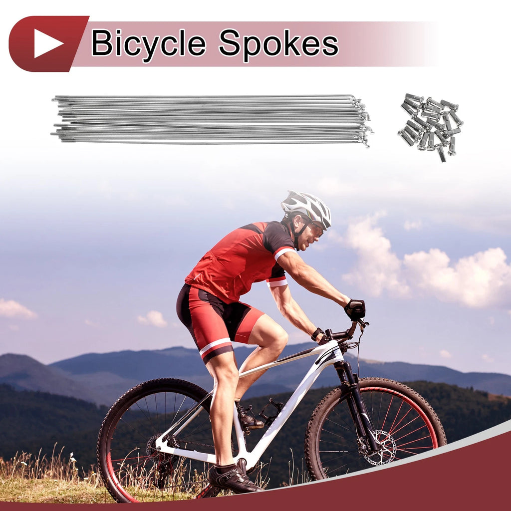 Bicycle Spokes 219mm Stainless Steel 304 Silver Set for 13G Wheels (20pc)