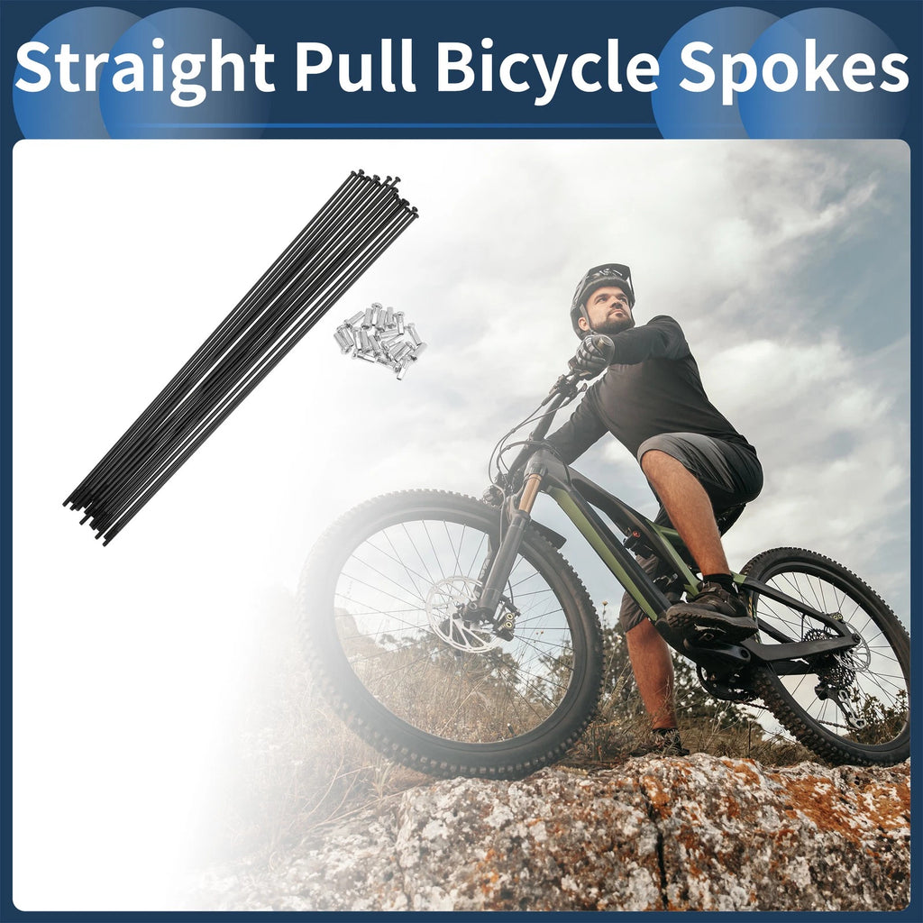 Bike Spoke Set 14G Straight Pull 239mm Carbon Steel for Black (2000–2000)