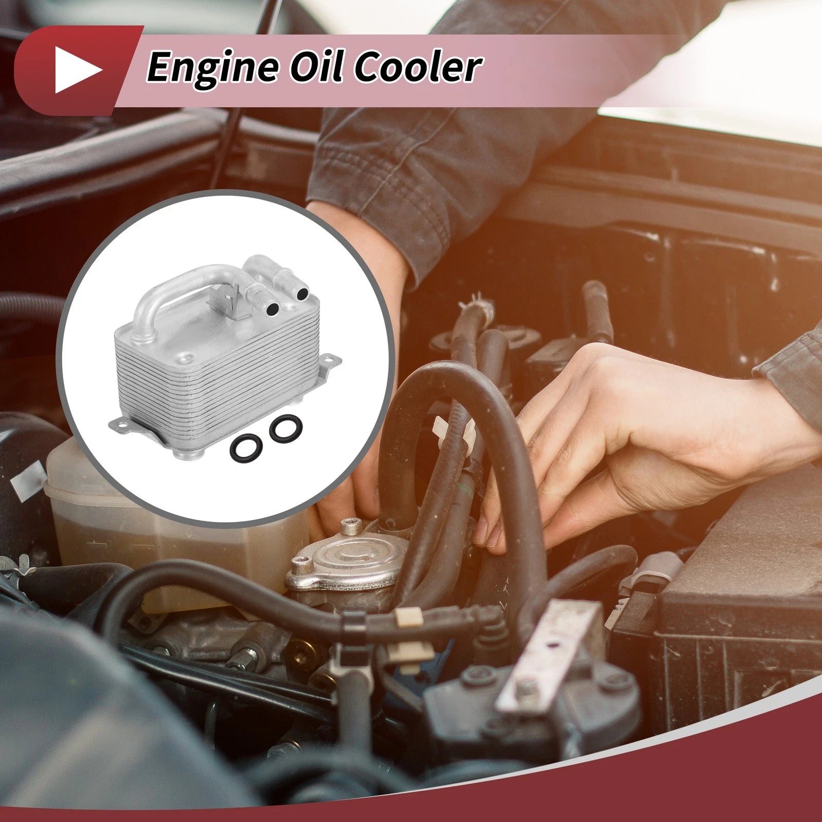 Engine Oil Cooler Replacement for BMW 525i E60 L6 2004–2005 (2004-2005)