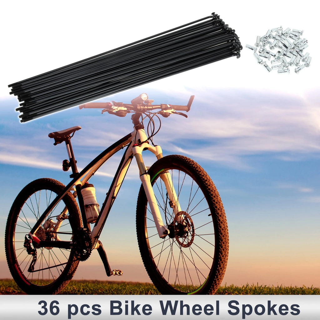 Spoke Set 12G 245mm Carbon Steel Replacement for Universal Bicycle (All Years)