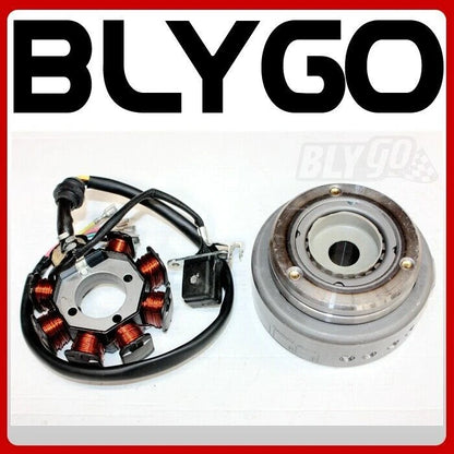 8 Poles Magneto Stator Roller Flywheel for 200cc 250cc Engine PIT Quad ATV