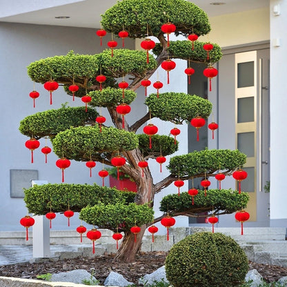 Customizable Chinese New Year Decoration Display
