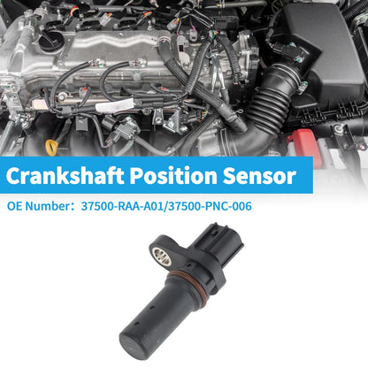 Crankshaft Position Sensor for Honda Accord EX LX 2.4 (2003–2007) No. 37500-RAA-A