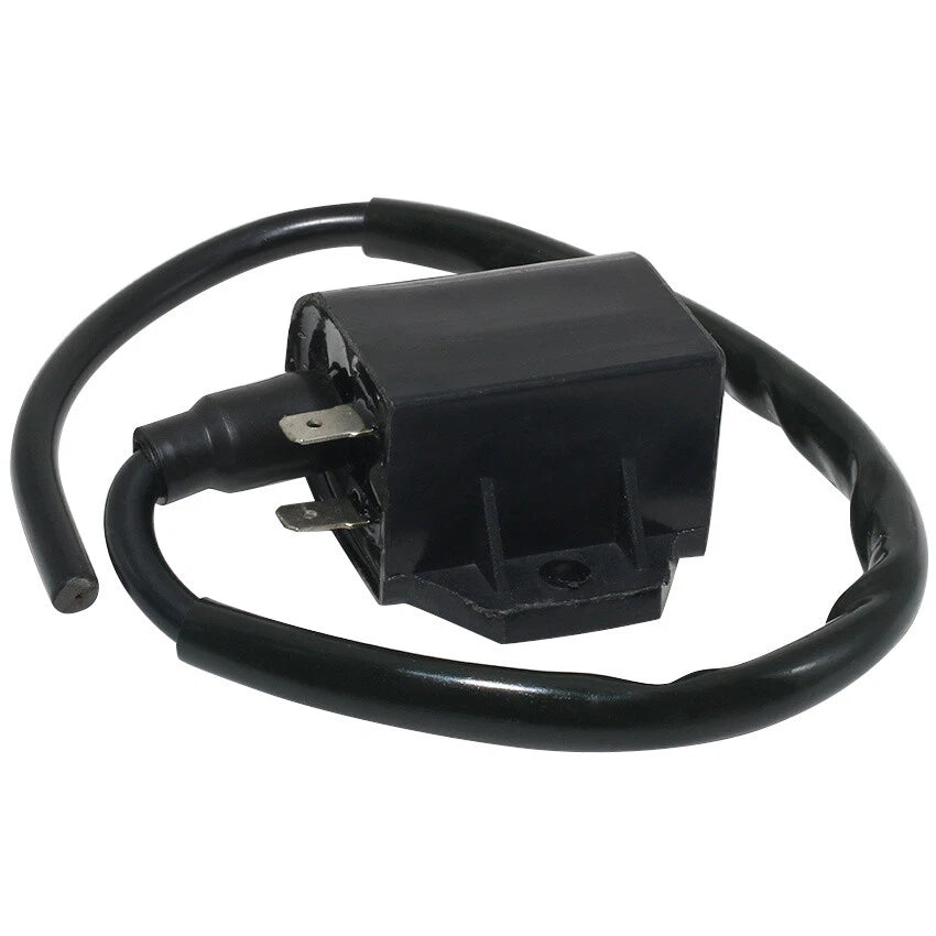 Ignition Coil for Suzuki AN125 VECSTAR CF42A AN150 VECSTAR CG41A (1996–2000)