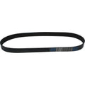 Drive Belt for Volvo Penta 32 42 43 44 300 (861564 KAD KAM KAD KAMD TAMD)