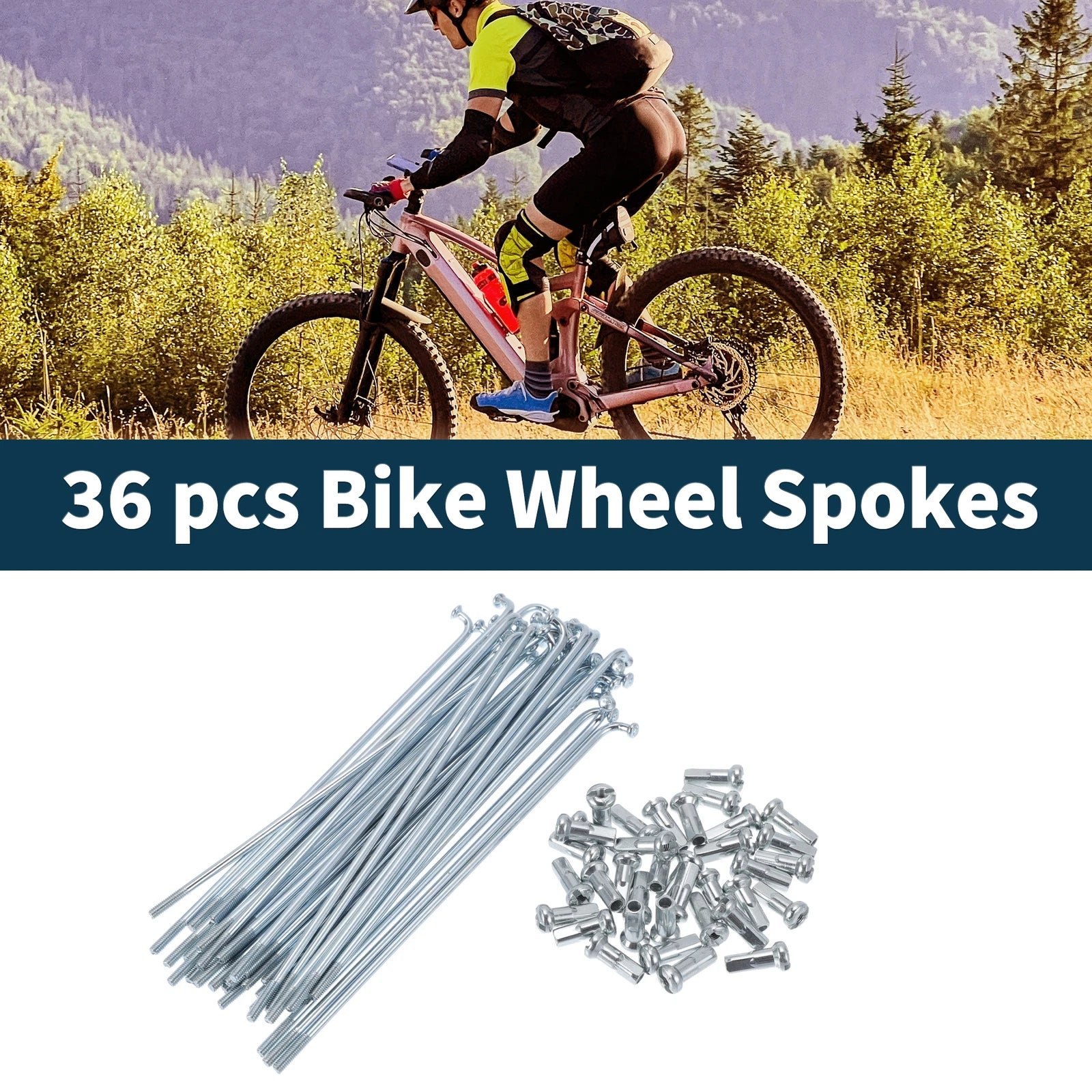 Bicycle Spoke Nipple Set Galvanized Steel 45mm for Universal (2000–2020)