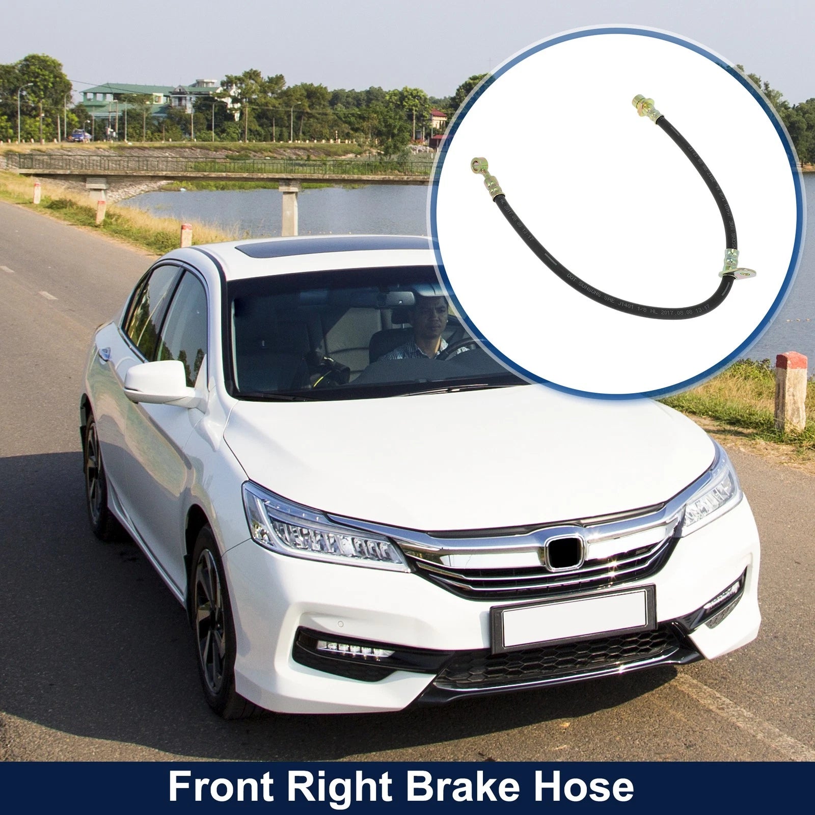 Front Right Brake Hose for Honda Accord (2008–2020)