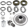 Rear Differential Rebuild Kit for Honda TRX250 (2001–2008)