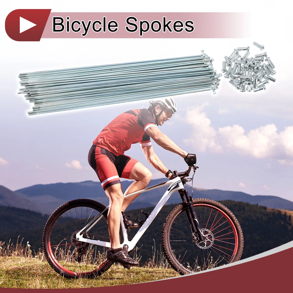 Bicycle Spokes 231mm Galvanized Carbon Steel Set for 13G Wheels (36-Pack)