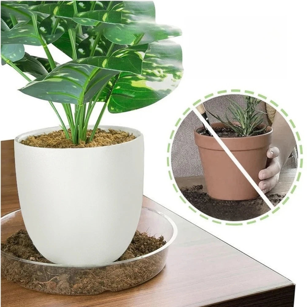 20pcs Transparent Plastic Saucers for Pots (16cm, 21cm, 26cm, 31.5cm)