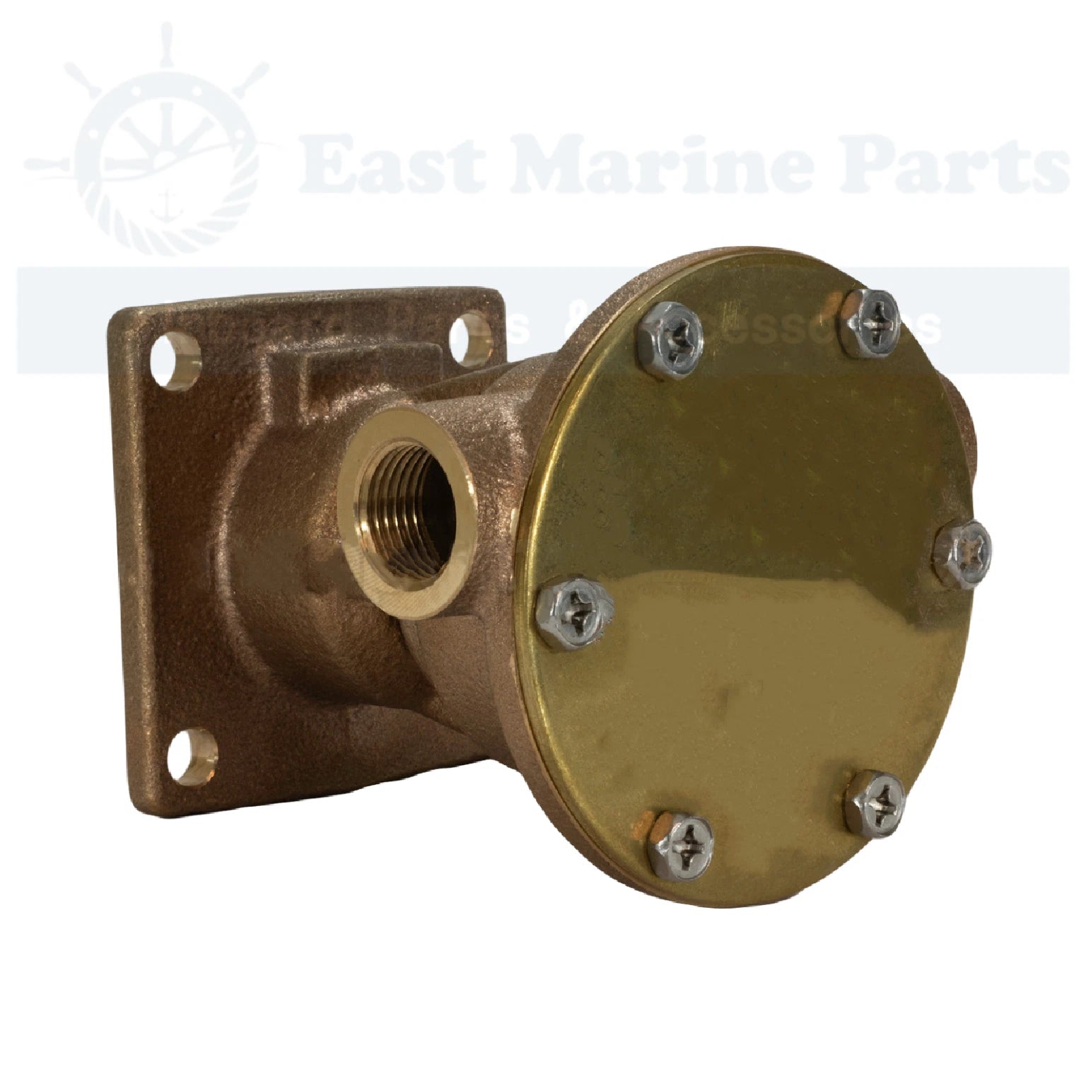 Jabsco Sea Water Pump for Engine Cooling (30410-9001)