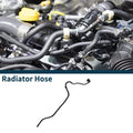 Radiator Hose for BMW 5 Series G30 M5 2018-2020 Coolant Pipe Replacement