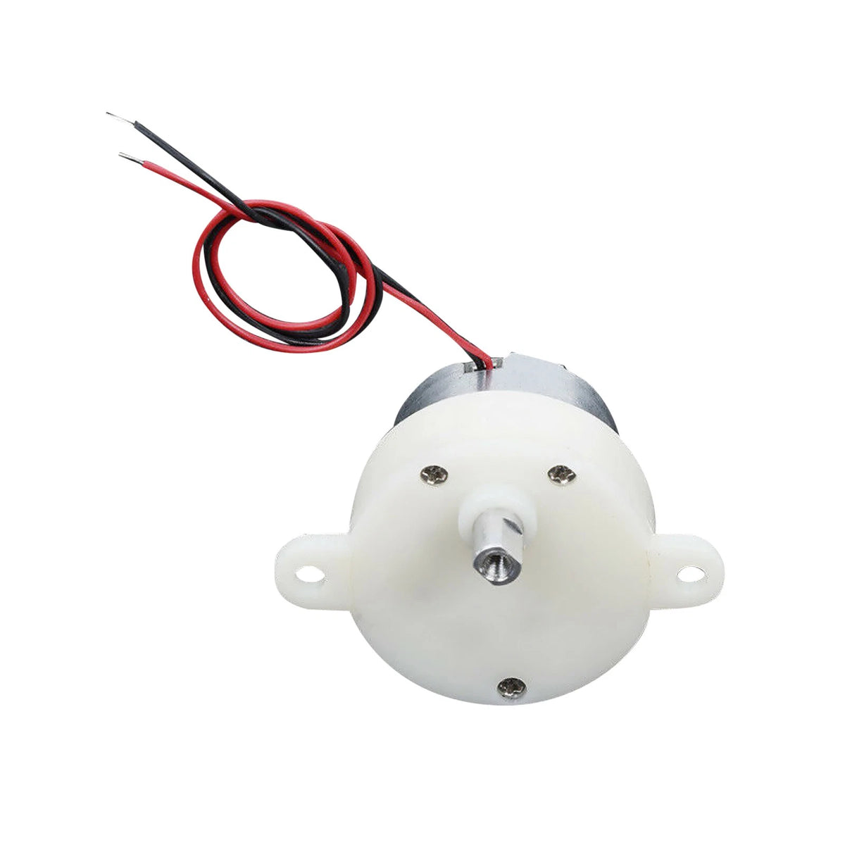 Micro 300 Mini Motor for Various Applications (21RPM Low Speed)