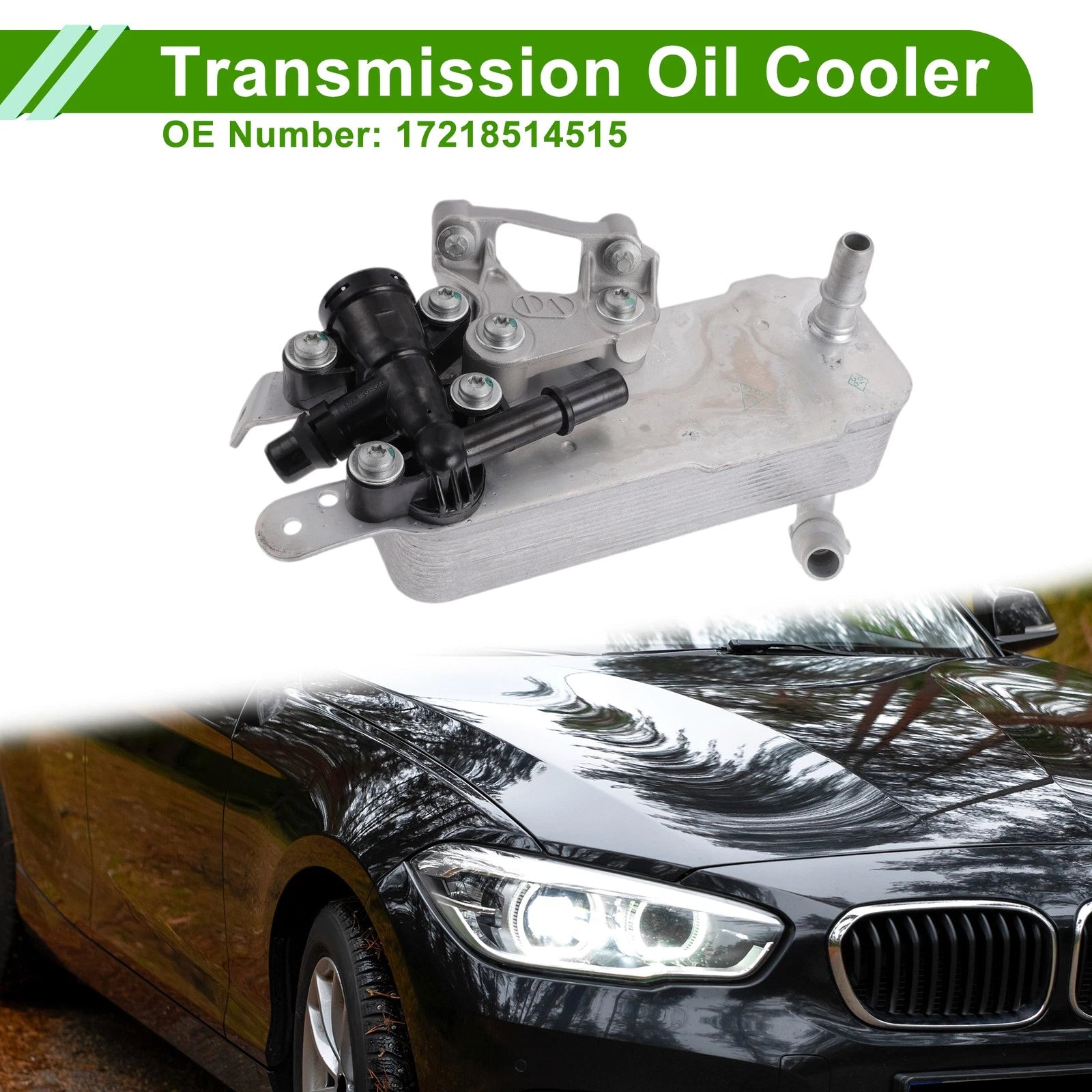 Engine Oil Cooler Replacement for BMW 230i 2.0L (2017–2021)