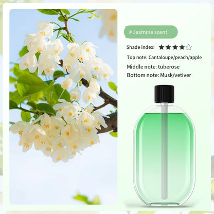 Aromatherapy Essential Oils 40ml with Natural Floral and Herbal Extracts