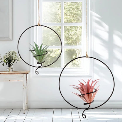 Air Plant Hangers for Vertical Gardens
