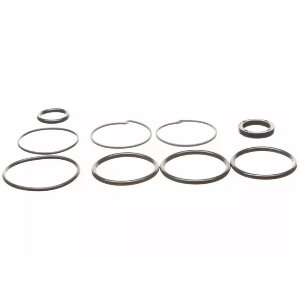 Replacement Seal Kit for OMC Cobra Tilt/Trim Cylinder 0985060, 3854247