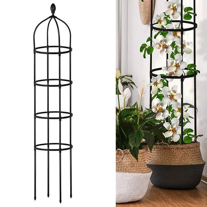 Round trellis for ivy and tomato plants