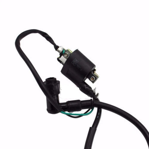 Wiring Harness Loom Engine Kit for Atomik Thumpstar Pitpro Foxico TDR (2000–2023)