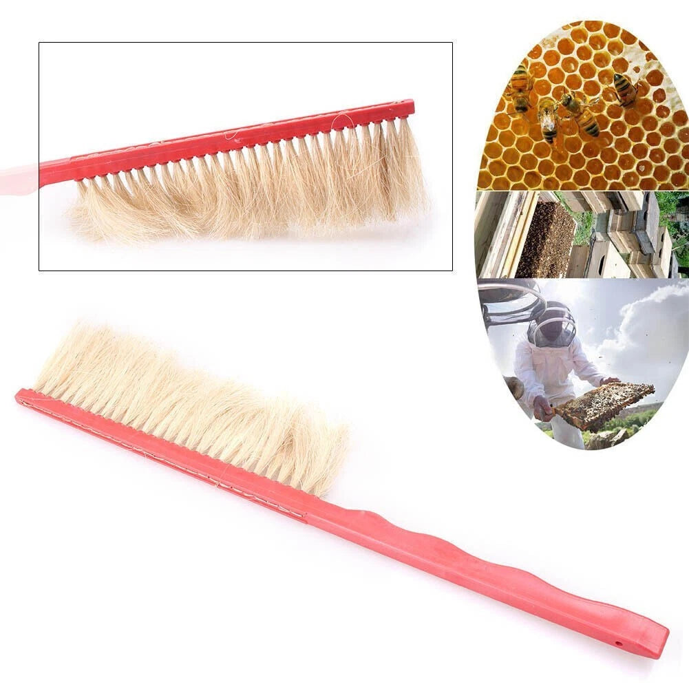 Bee Brush Tool for Beekeeping Beehive (420 x 80 x 10mm)