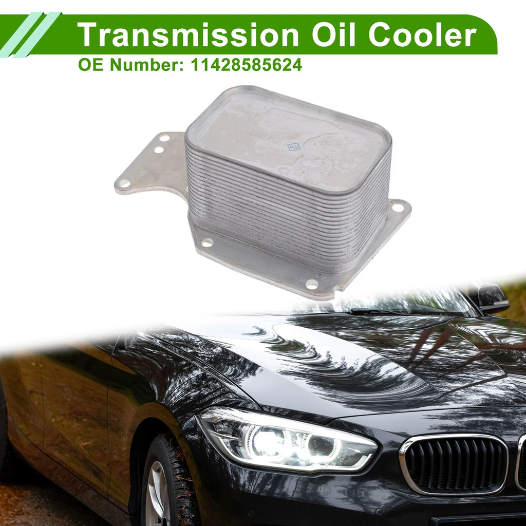 Engine Oil Cooler for BMW 320i xDrive OEM Replacement (2012–2020)