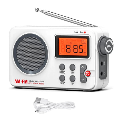 Portable AM/FM PLL Alarm Radio with Sleep Timer Function