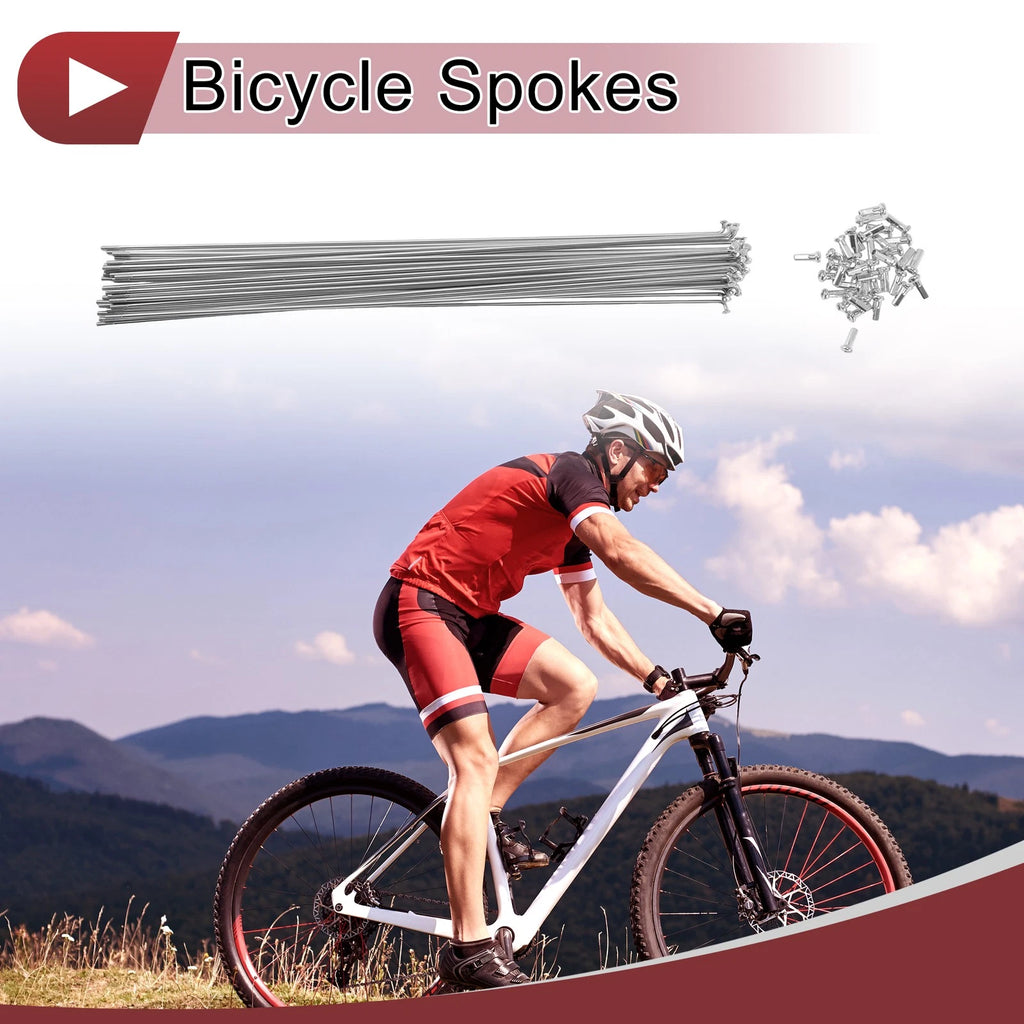 36 Bicycle Spokes 291 mm Steel Replacement for 14G Bicycle Wheels (2009–2009)
