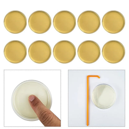 10 Pack Mold Testing Assessment Tool