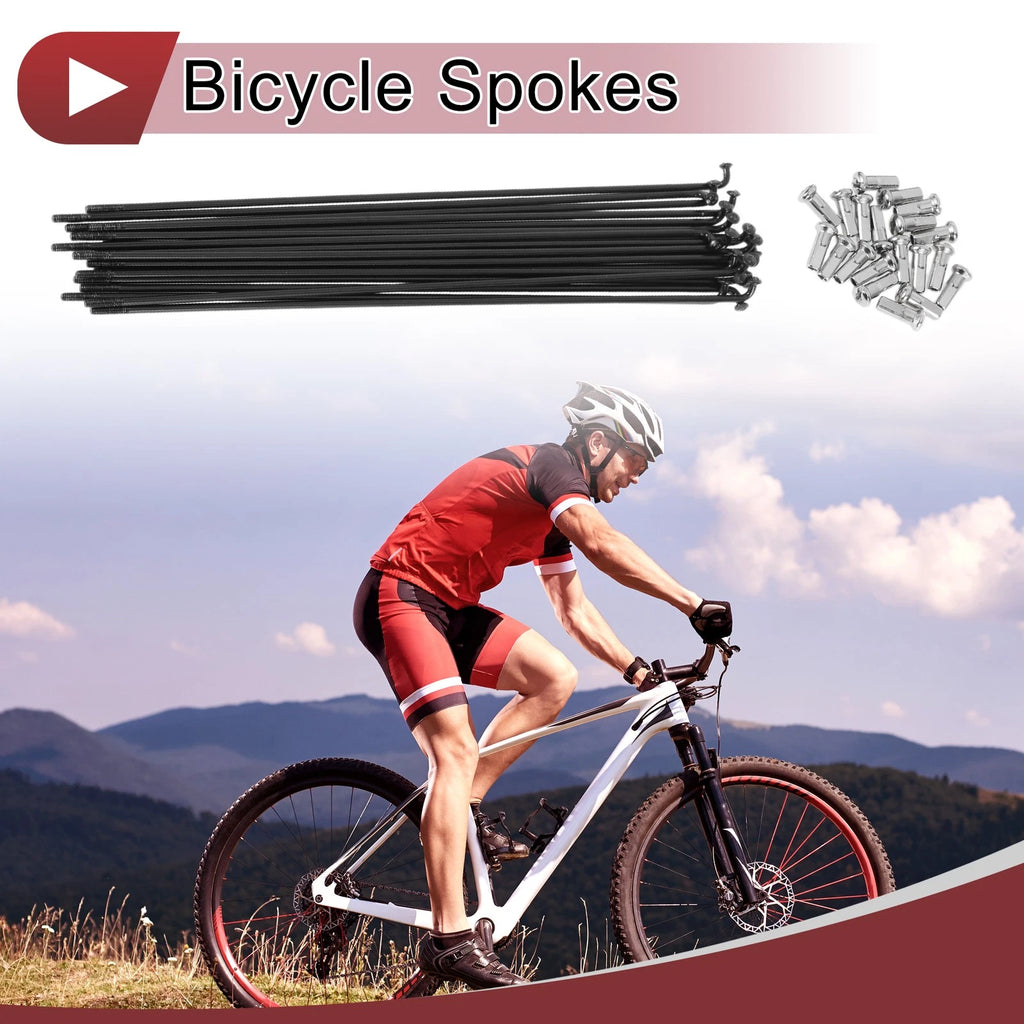 Bicycle Wheel Spokes 191mm 304 Stainless Steel Black for 20 Set