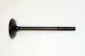 WSM Intake Valve for Yamaha 150-350 Hp 4-Stroke (2009–2022)