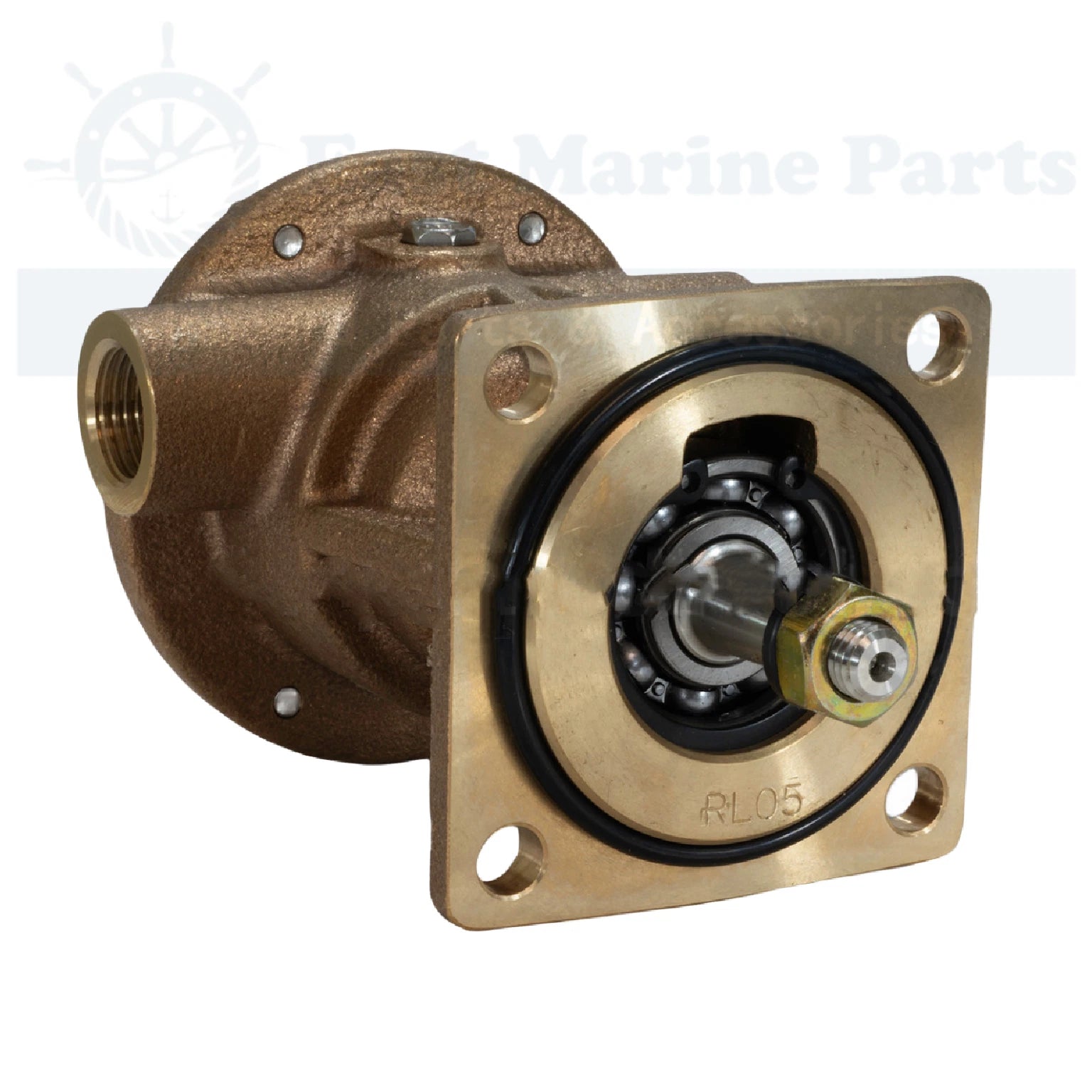 Jabsco Sea Water Pump for Engine Cooling (30410-9001)