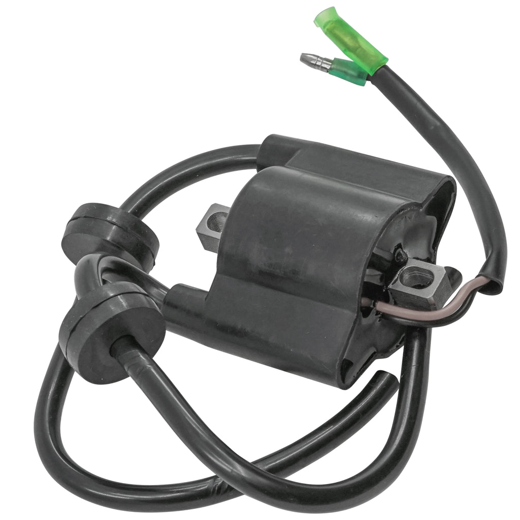 Ignition Coil Replacement for Mercury Outboard 15HP 4 Stroke (1998–2006)