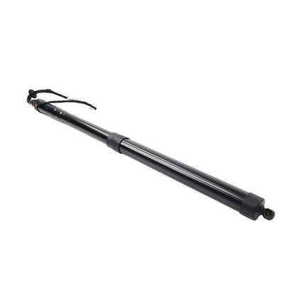 Trunk Tailgate Lift Support for Land Rover Range Rover Sport (2005–2013)
