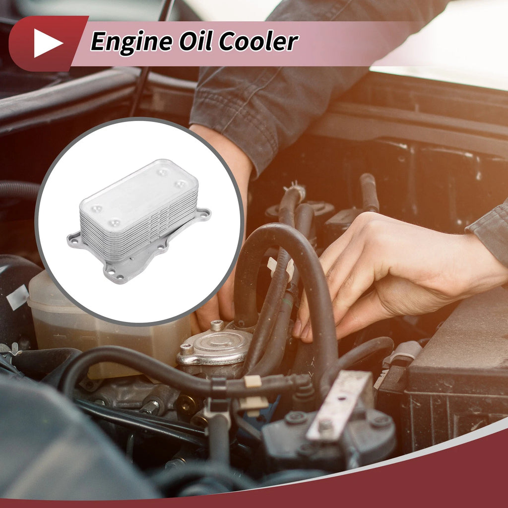 Engine Oil Cooler Replacement for Mercedes-Benz C230 V6 2.5L (2002–2007)