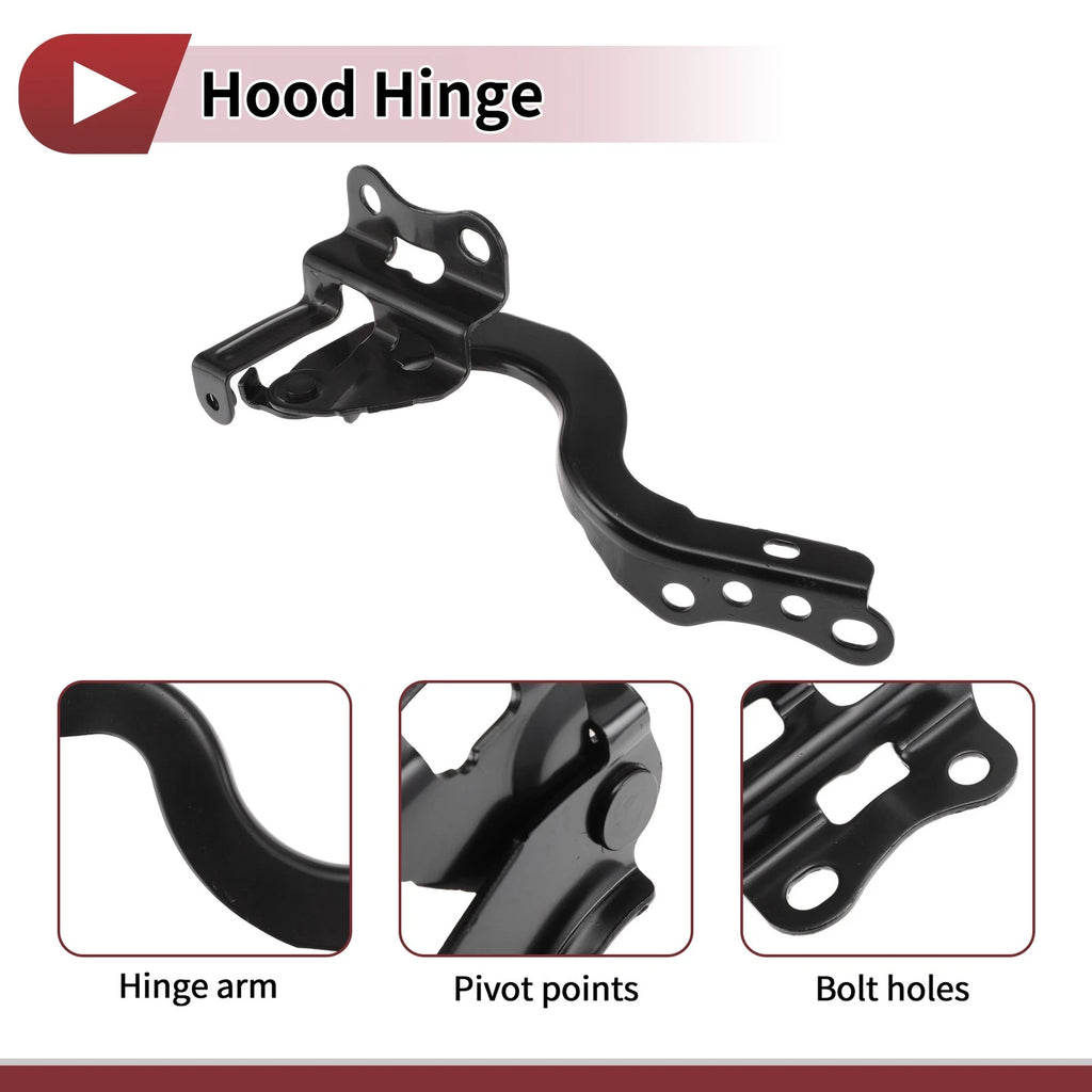 Hood Hinge for Toyota Corolla (2014) Left Side, 1 pcs