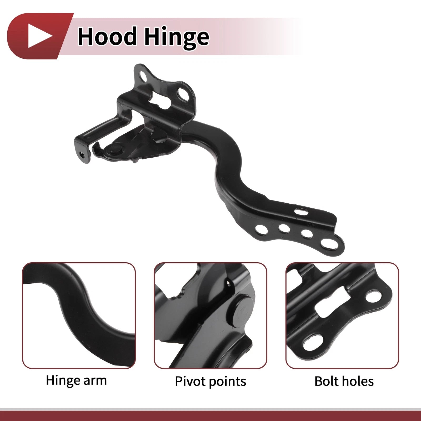 Hood Hinge for Toyota Corolla (2014) Left Side, 1 pcs