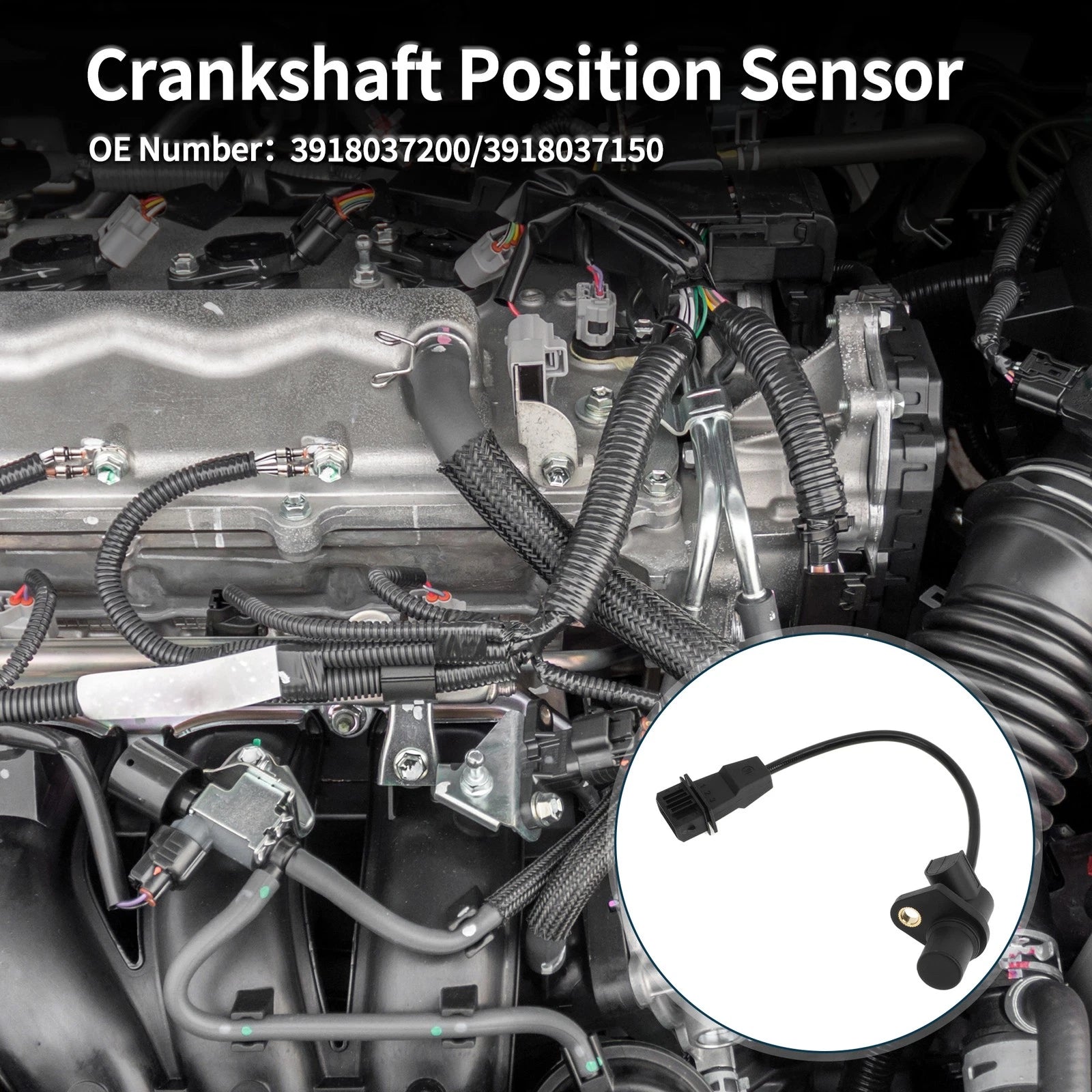 Crankshaft Position Sensor Replacement for Hyundai Santa Fe 2.7 (2001–2006)