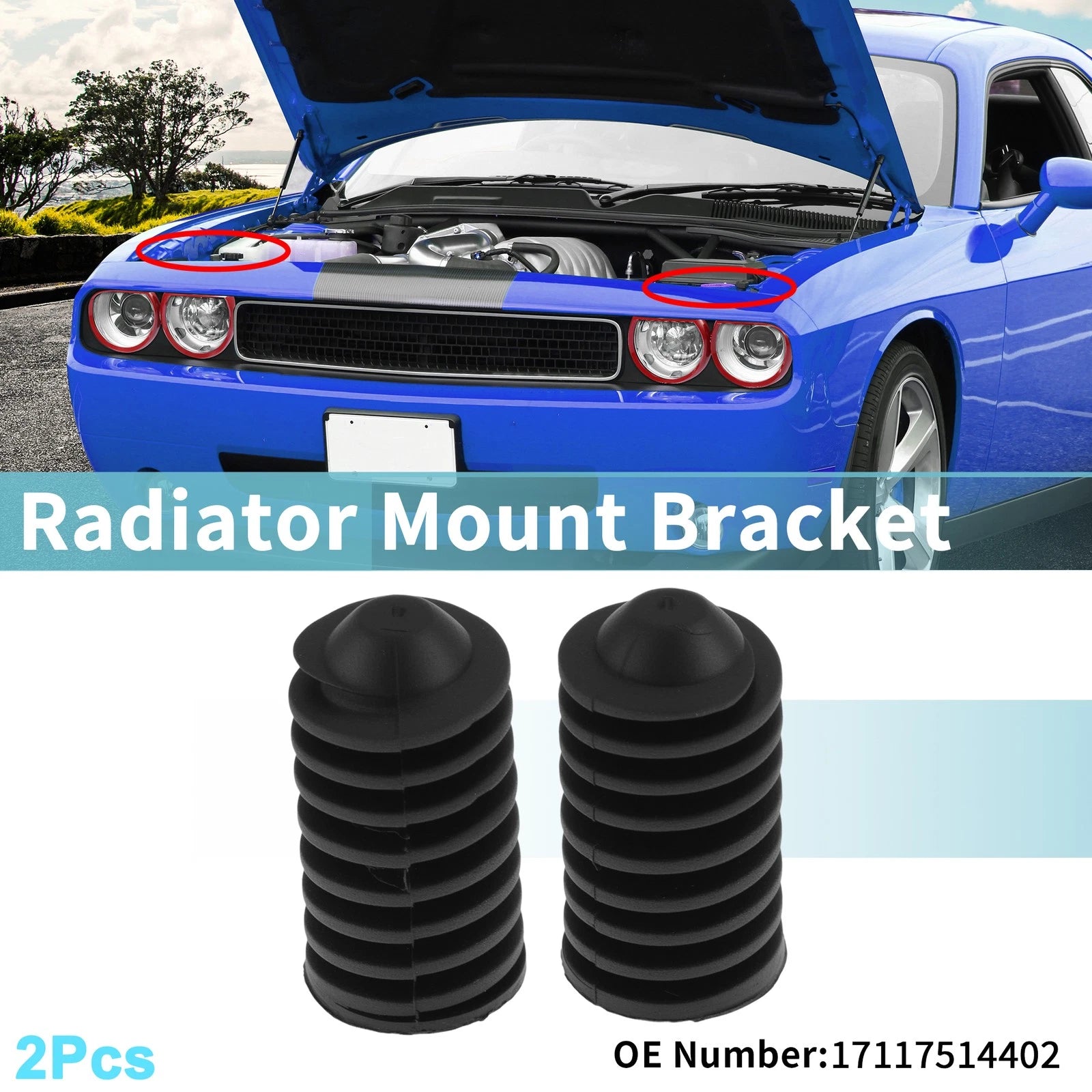 Radiator Mount Bracket Set Replacement for BMW 320i E46 (1997–2006)