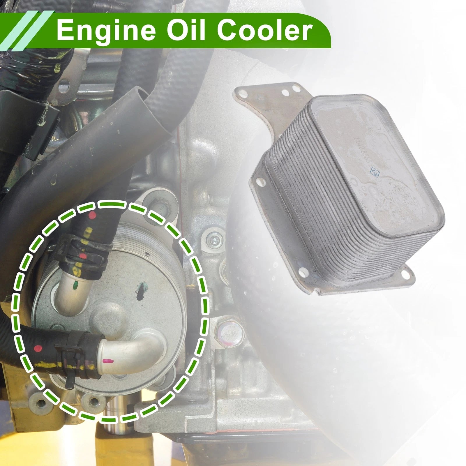 Engine Oil Cooler for BMW 320i xDrive OEM Replacement (2012–2020)