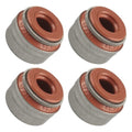Valve Stem Seal Set for Can-Am Renegade 1000R (2016–2018, 2021)