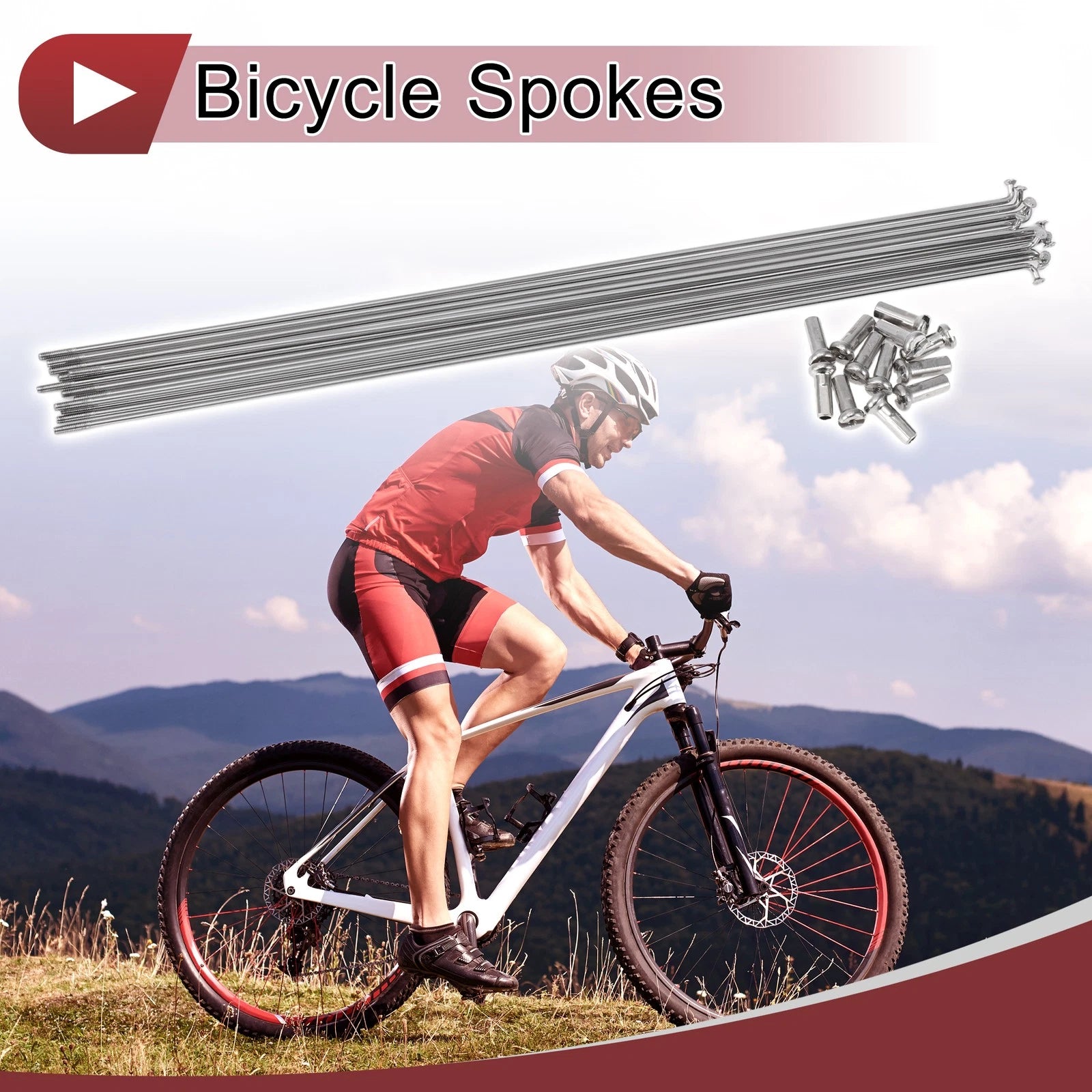 Bicycle Wheel Spokes 304 Stainless Steel Set for 14G (291mm)
