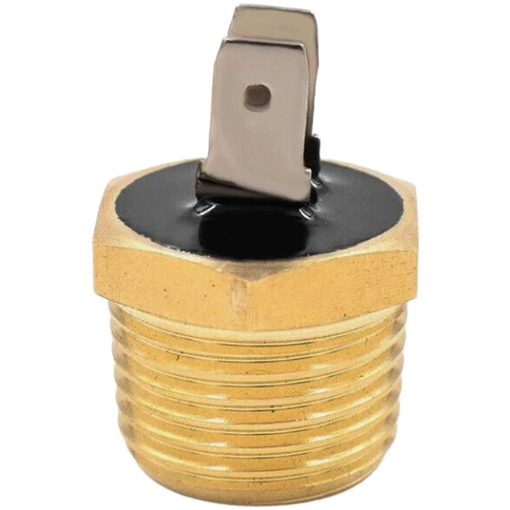 Fuel Injection Temperature Switch for Ford F Series (E8TZ9E939A)