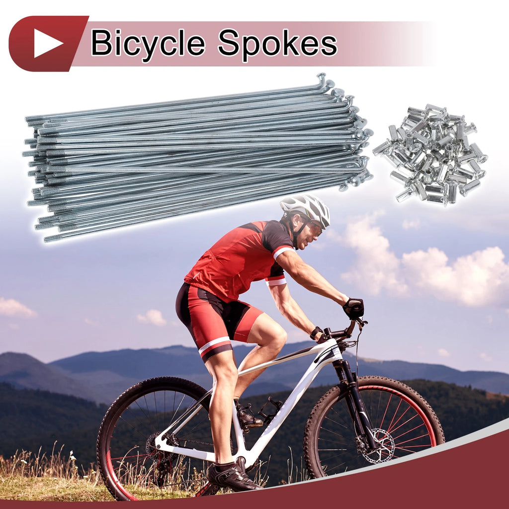 Bicycle Spokes Set 170mm Carbon Steel Galvanized for 10G (All Years)
