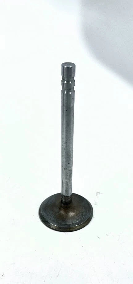 Intake Valve for GM (14025571)